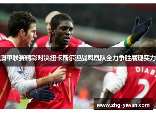 澳甲联赛精彩对决纽卡斯尔迎战凤凰队全力争胜展现实力